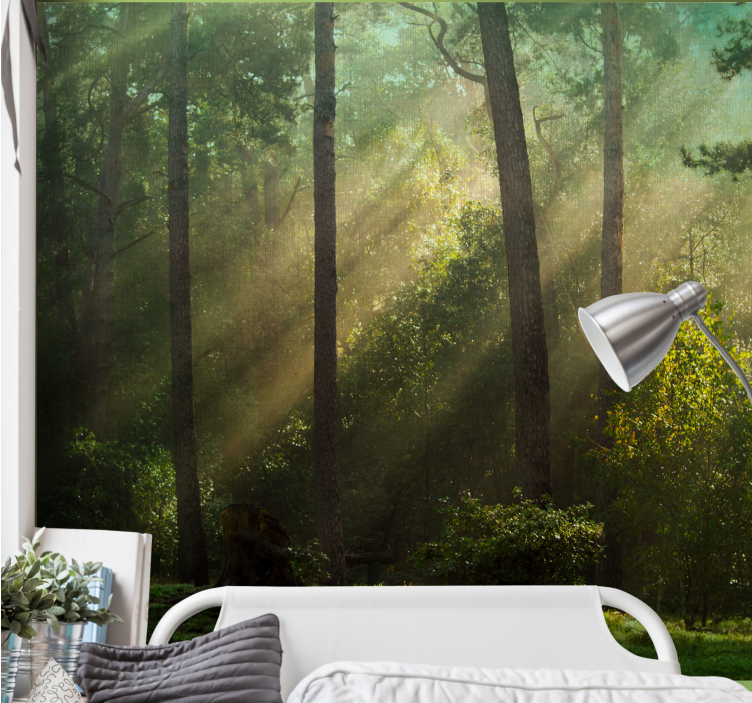 Forest wall mural enchanting woodland scene - TenStickers
