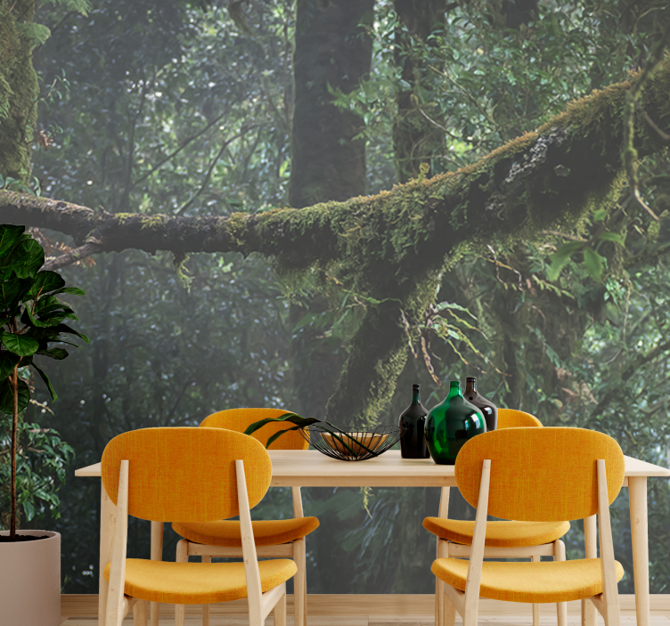 Forest wall mural lush greenery canopy - TenStickers