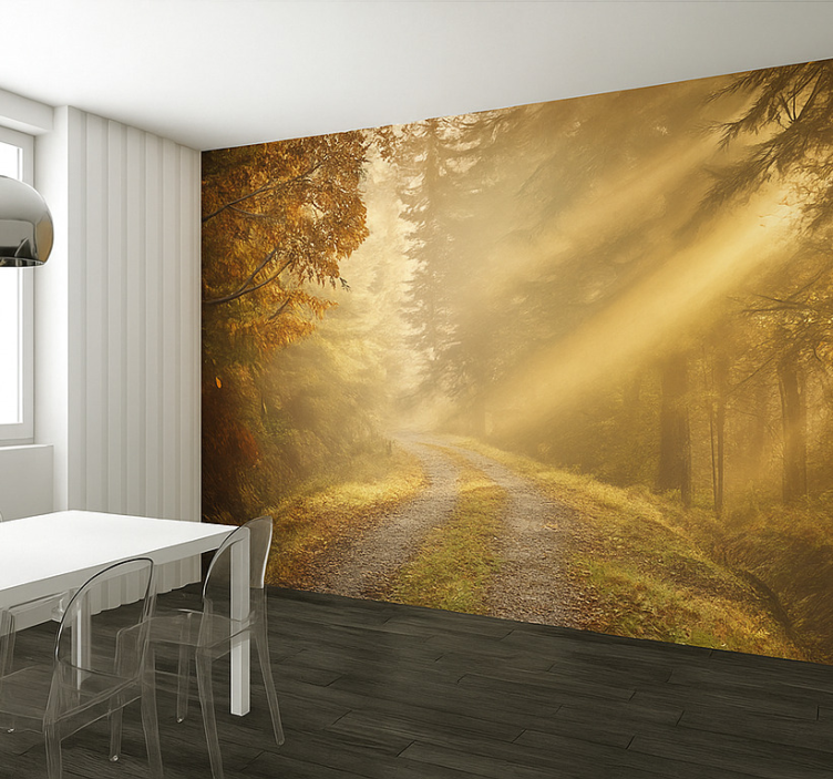 Humid forest with sunlight jungle wall mural - TenStickers
