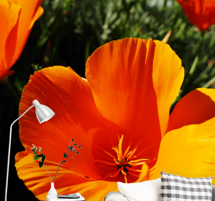 Orange poppies on a sunny flower wall mural - TenStickers
