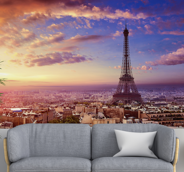 Paris view by air wall mural - TenStickers