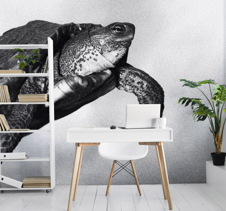 Turtle swimming animals wall mural - TenStickers