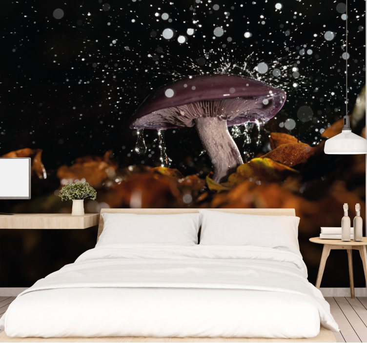 Wall mural nature mushroom water splash - TenStickers