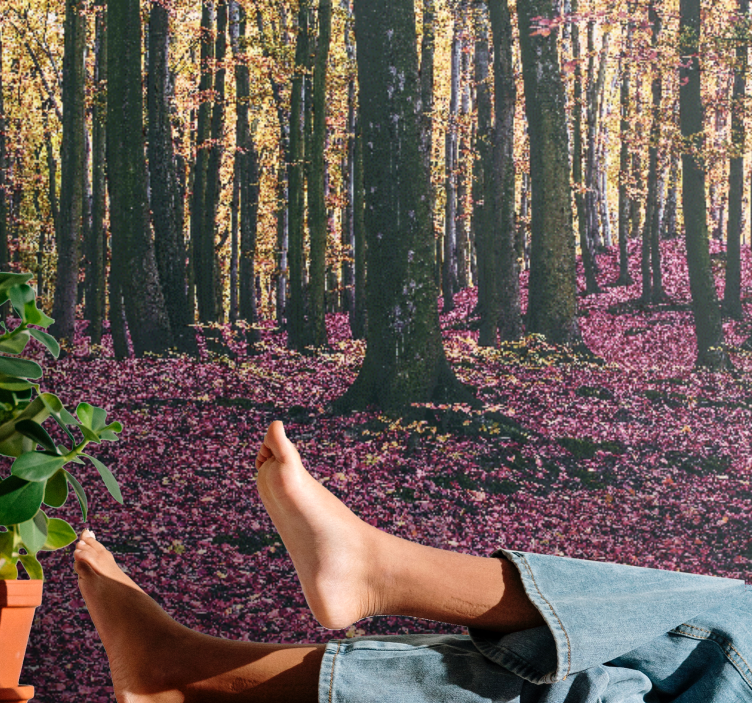 Wall mural nature serene forest view - TenStickers