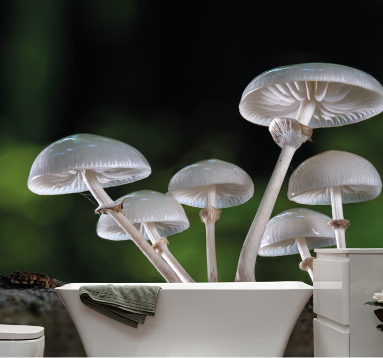 Wild oyster mushrooms nature wall mural - TenStickers