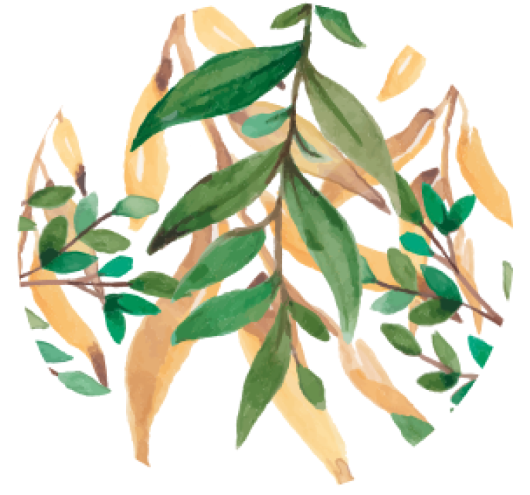 Beer mats leafy green botanical design - TenStickers