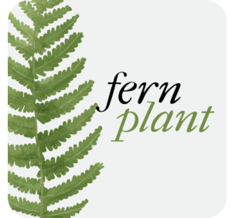 Modern coasters fern leaf design - TenStickers