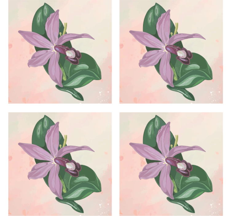 Modern coasters elegant orchid blossom - TenStickers