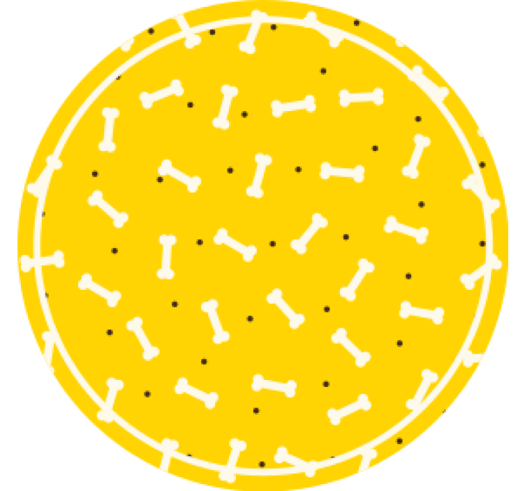 Geek coasters bone pattern circle - TenStickers