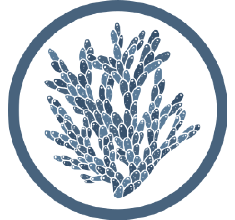 Texture coasters abstract coral design - TenStickers