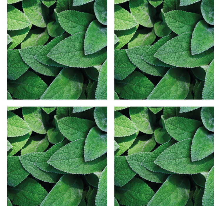 Texture coasters vibrant green leaf design - TenStickers