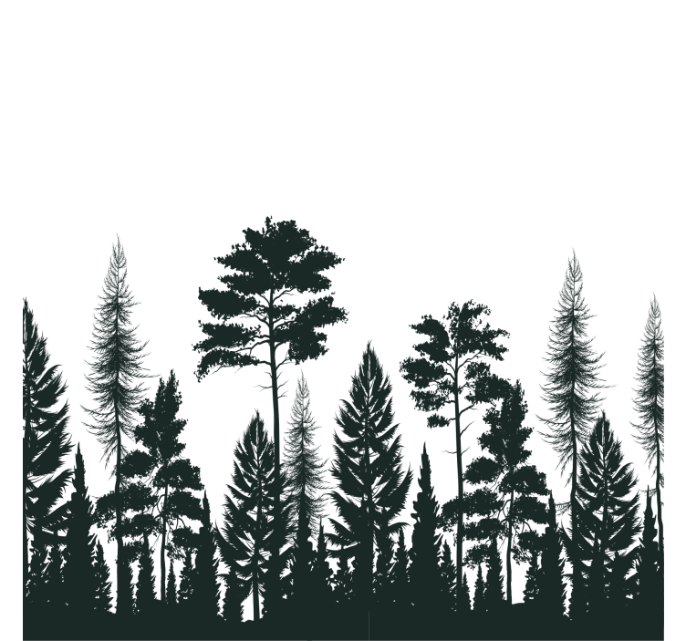 Texture coasters silhouette of tall pines - TenStickers