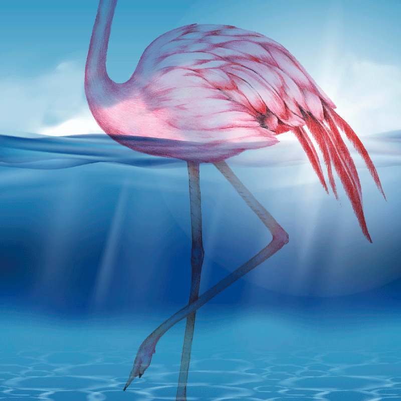 Living room poster with underwater flamingo design - TenStickers
