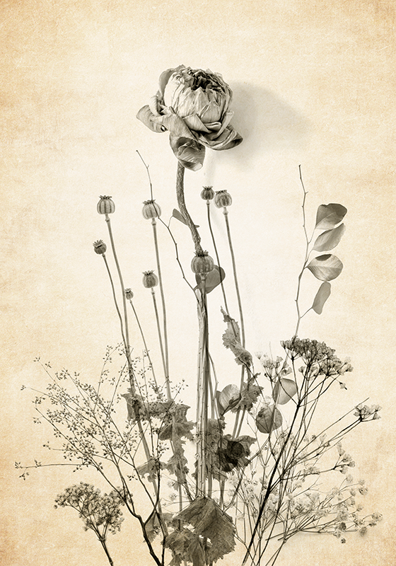 bouquet of flowers on beige background flower poster - TenStickers