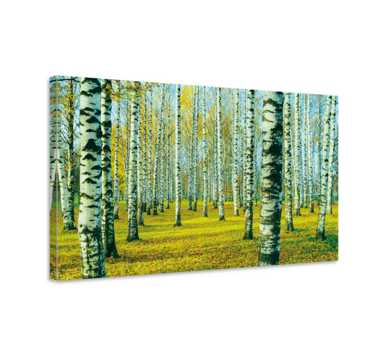 Autumn birch forest tree canvas wall art - TenStickers