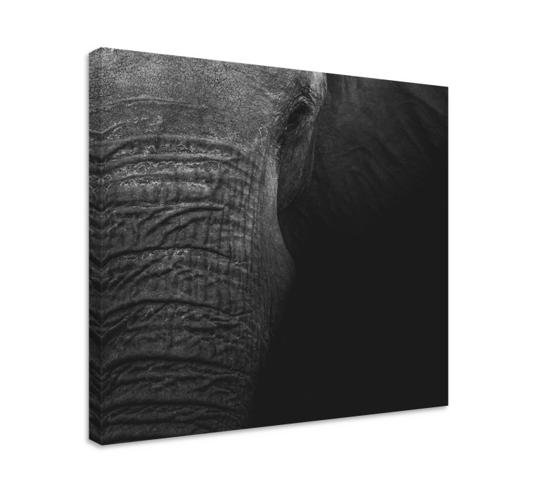 Elephant wallart majestic elephant portrait - TenStickers