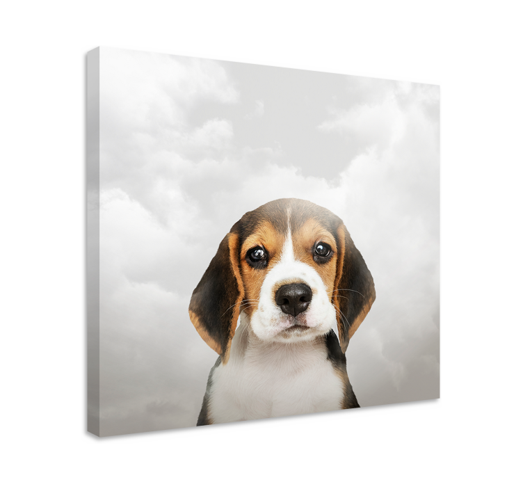 Dog wall art beagle portrait - TenStickers