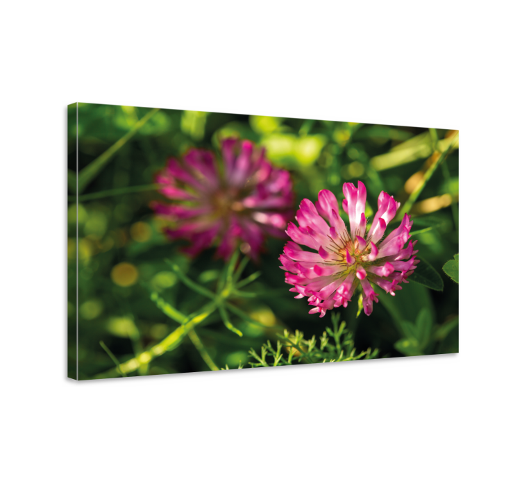 Flowers canvas pink floral arrangement - TenStickers