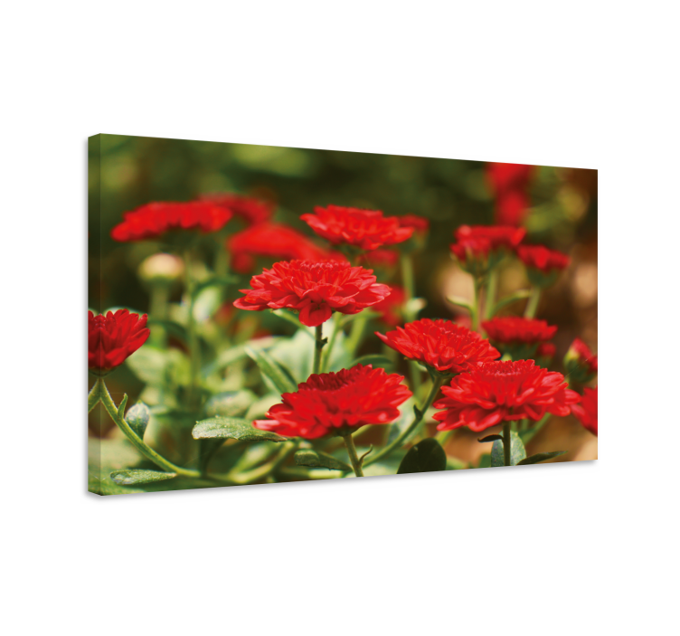 Flowers canvas red flower blossoms - TenStickers