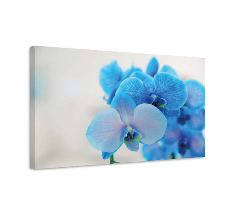 Flowers canvas blue orchid blooms - TenStickers