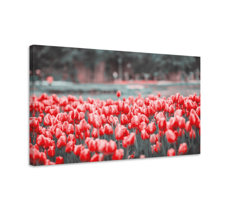 Vibrant tulip field flowers canvas - TenStickers