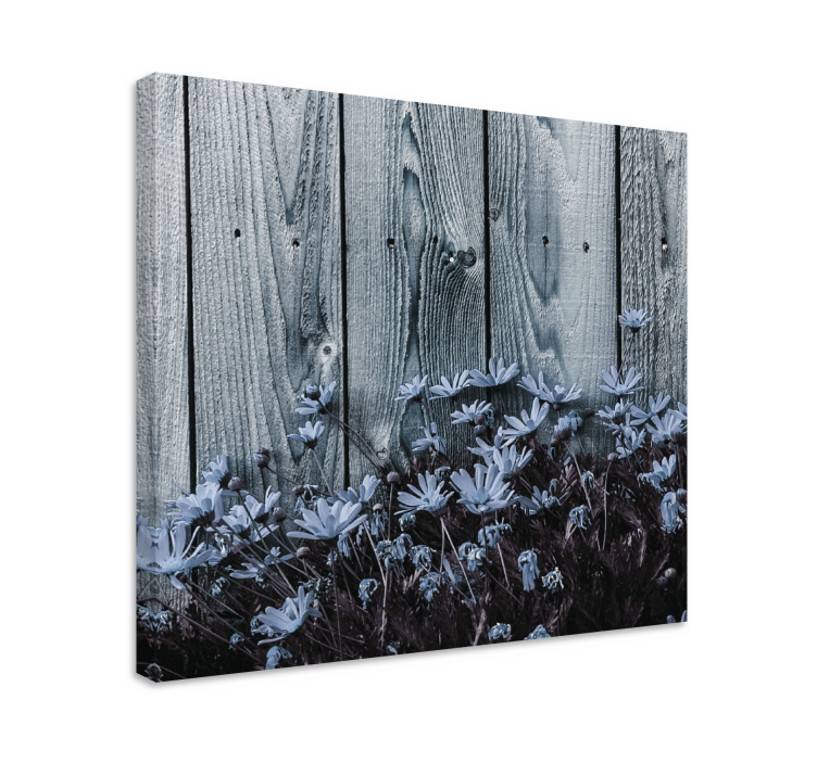 Daisy flower on gray wooden plank flower canvas - TenStickers