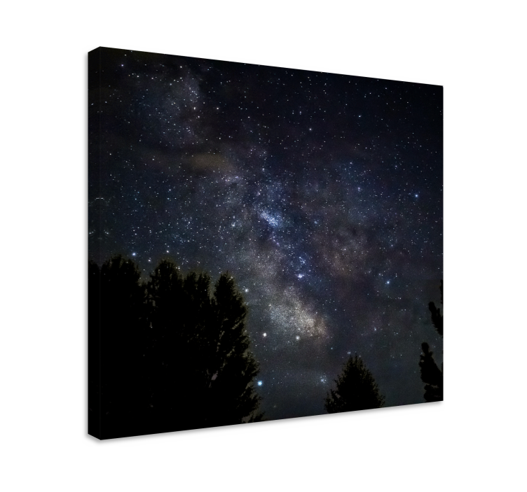 Celestial nightscape landscape canvas - TenStickers