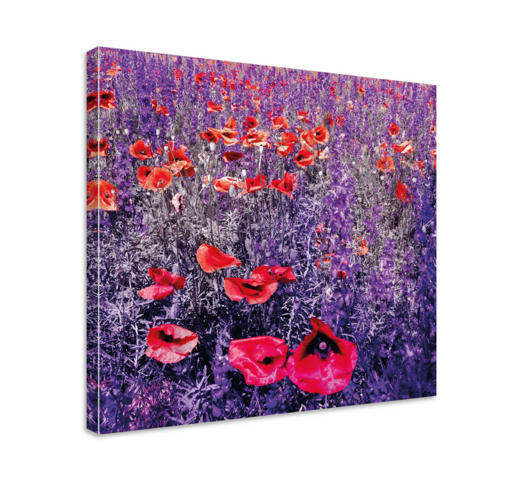 Flowers canvas luminous poppy field - TenStickers