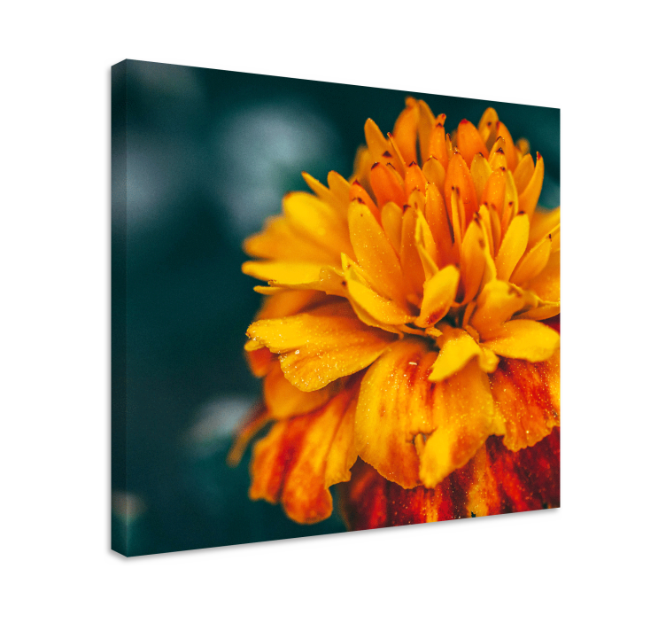 Flower canvas vibrant orange blossom print - TenStickers