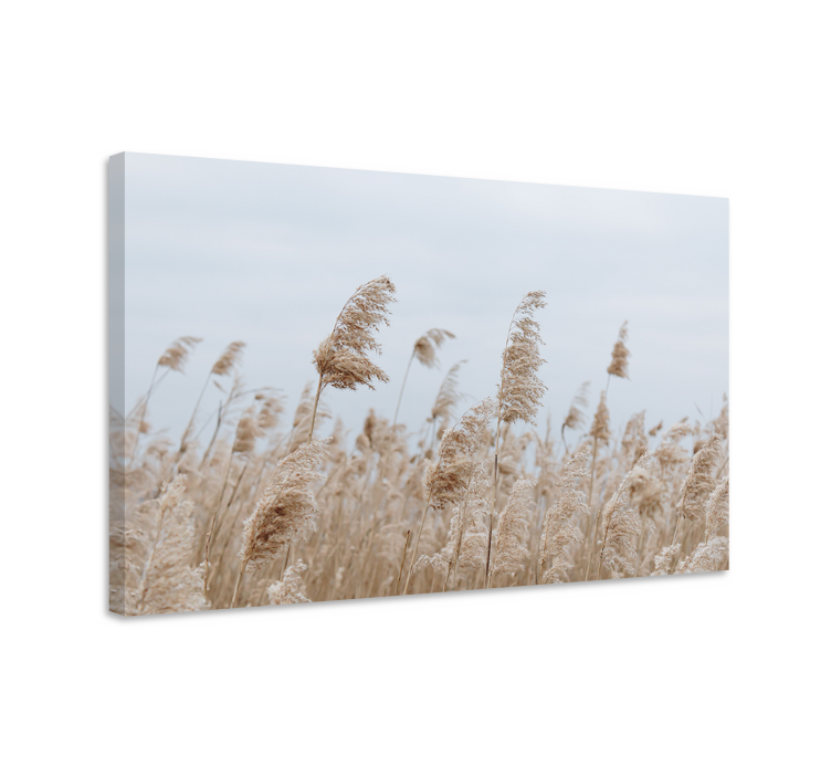 Flowers canvas gentle grass whisper - TenStickers