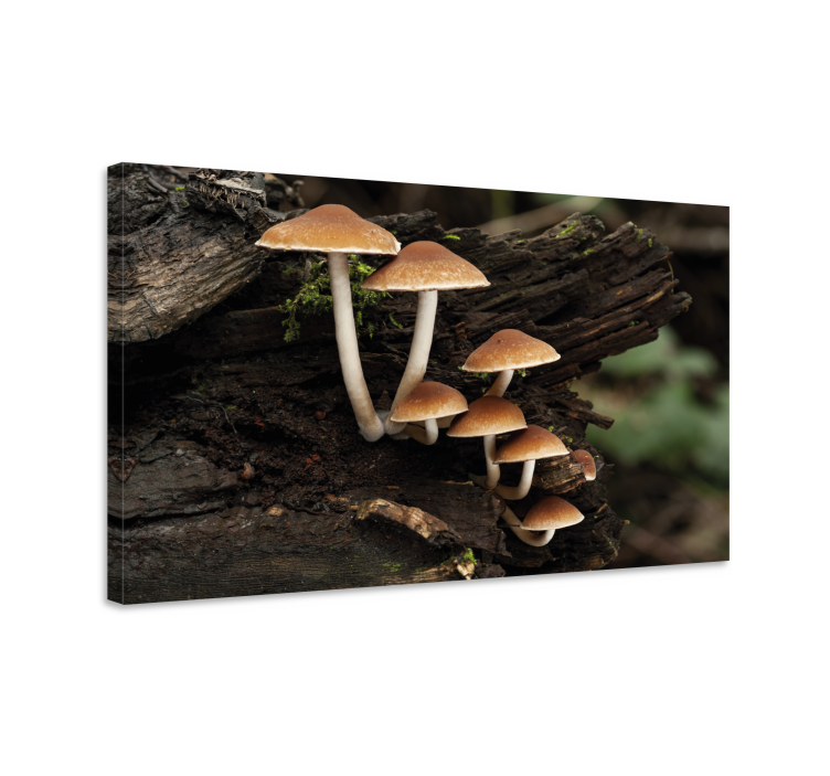 Flowers canvas mushroom arrangement - TenStickers