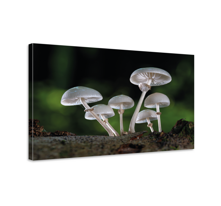 Flowers canvas mushroom forest artwork - TenStickers