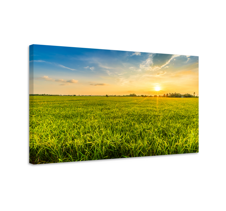 Grass field aesthetic landscape canvas - TenStickers