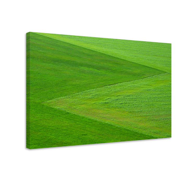 Landscape canvas of verdant green fields - TenStickers