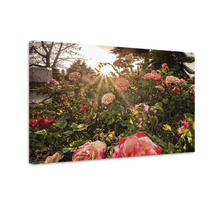 Flowers canvas radiant rose blooms - TenStickers