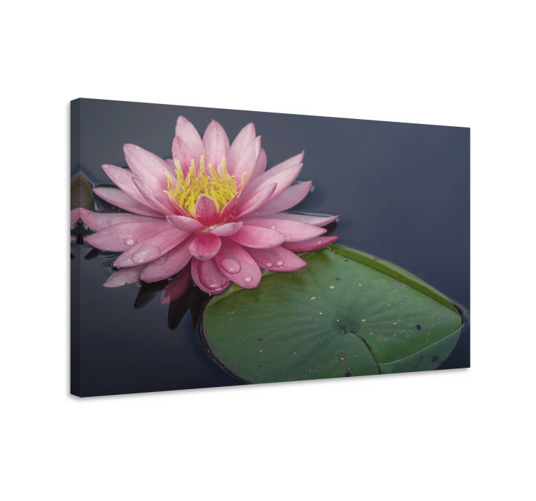 Flowers canvas water lily bloom - TenStickers