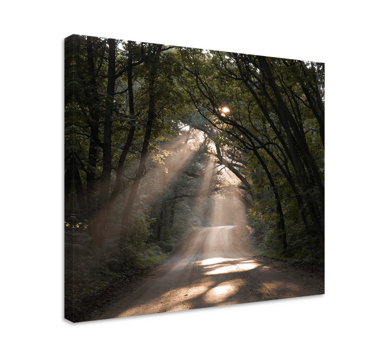 Landscape canvas sunny woodland path - TenStickers