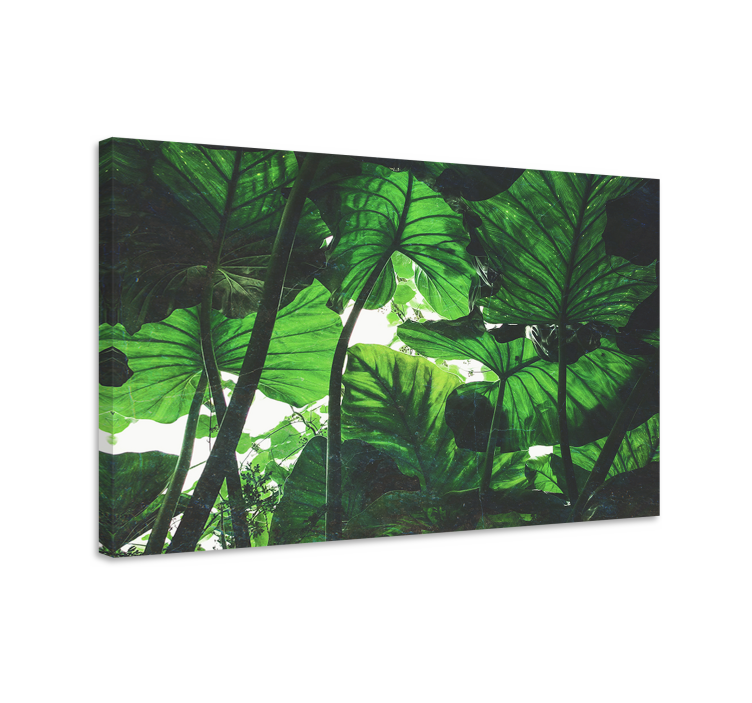 Beautiful green rainforest landscape canvas - TenStickers