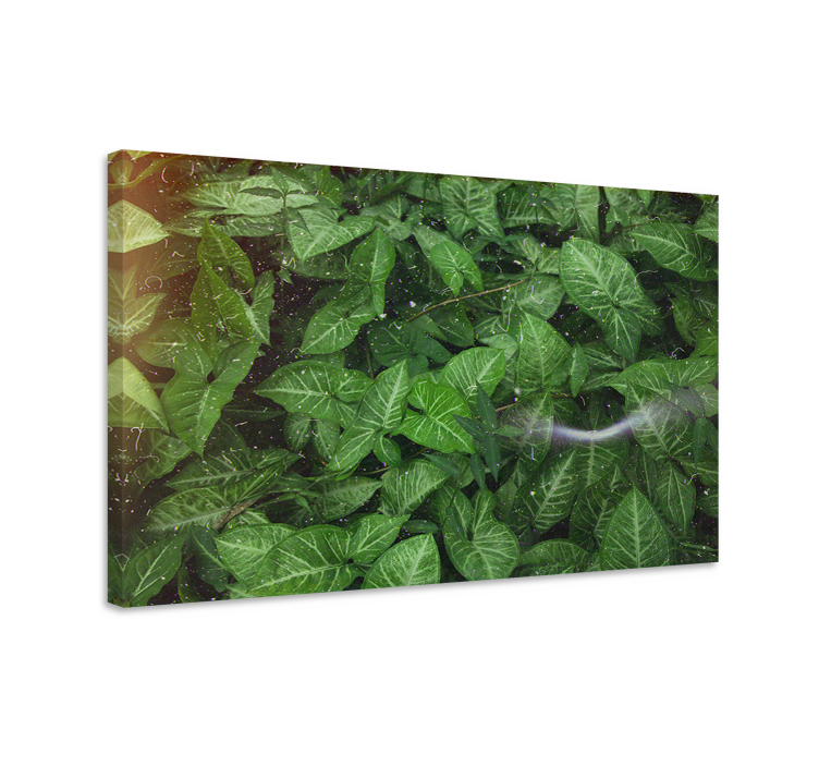 Flowers canvas vibrant green foliage - TenStickers