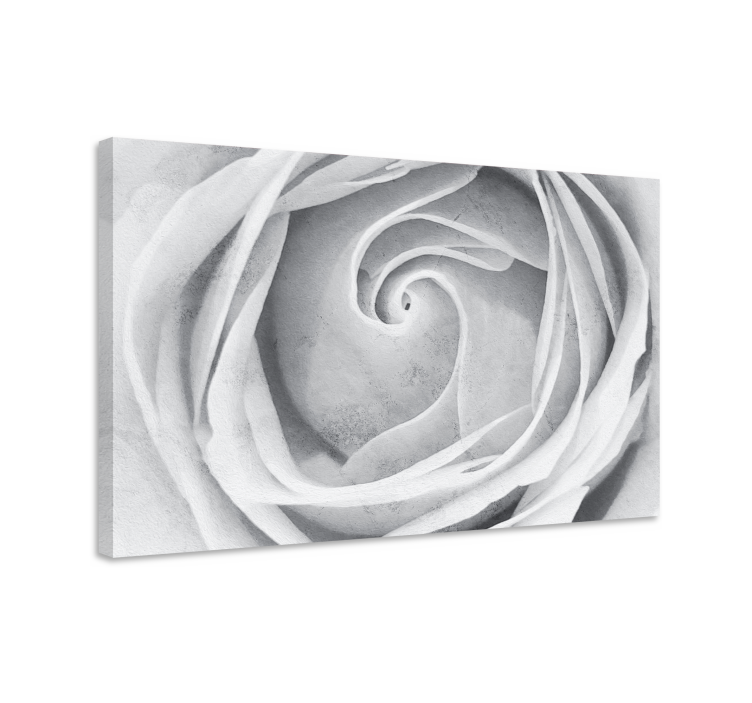 Flowers canvas elegant rose spiral - TenStickers