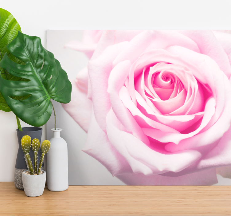 Flowers canvas blush rose bloom - TenStickers