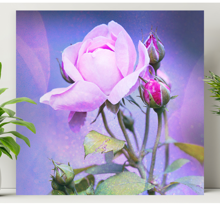 Flowers canvas pink blooming rose - TenStickers