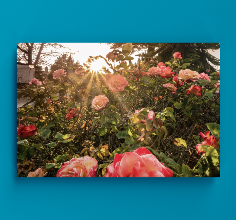 Flowers canvas radiant rose blooms - TenStickers