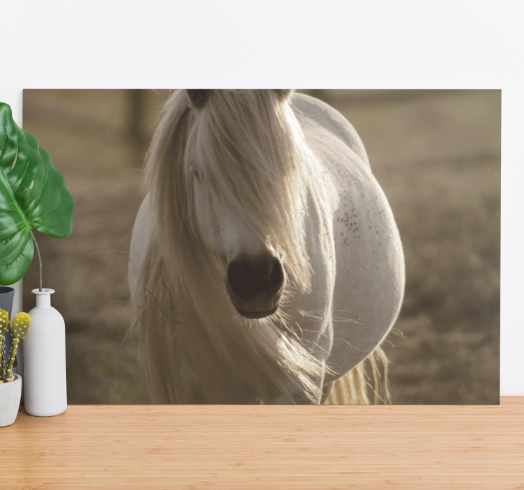 Majestic Equine Portrait horse wall art - TenStickers