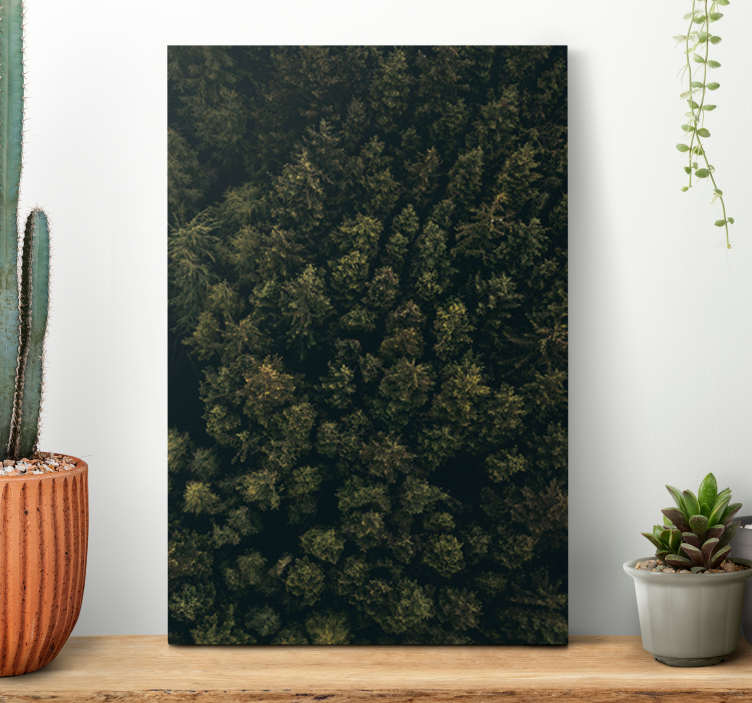 Tree canvas wall art lush forest canopy - TenStickers