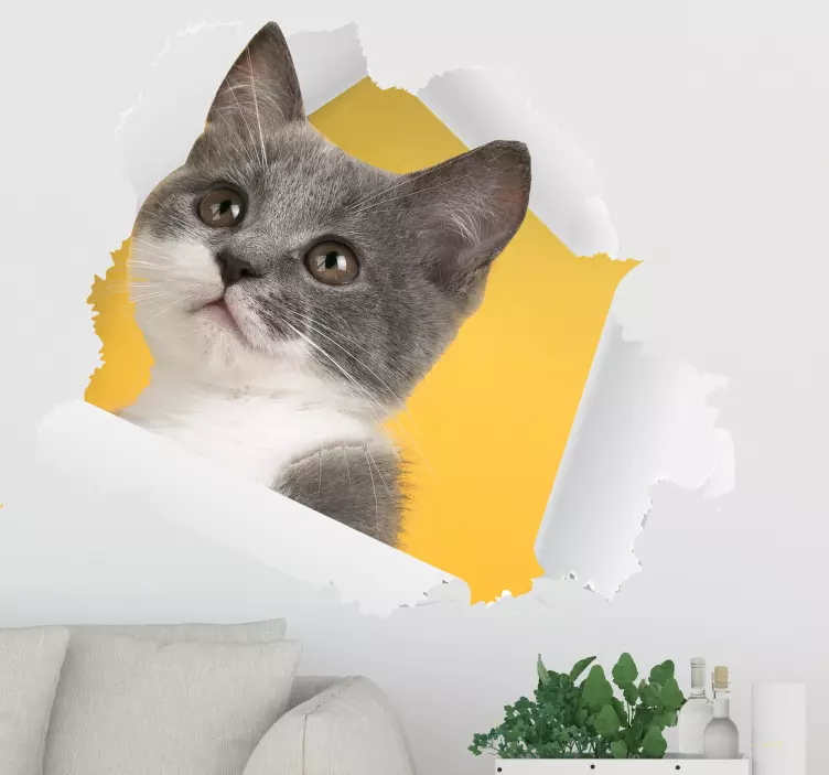 3D Cat Sticker wall sticker - TenStickers