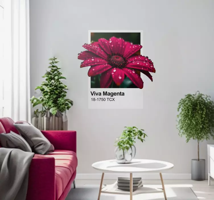 "Viva Magenta" Color = "Lively Magenta" Color wall sticker - TenStickers