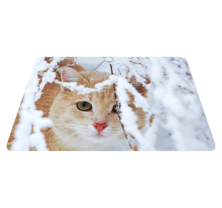 Animal vinyl rug featuring a cat with stalactite - TenStickers