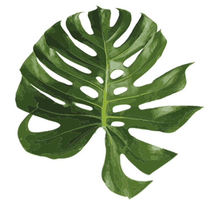 Floral vinyl rug with tasty monstera leaf design - TenStickers
