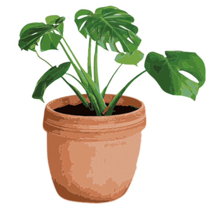 Floral vinyl rug simple monstera pot - TenStickers
